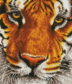 // DIAMOND DOTZ - TIGRE DU BENGALE